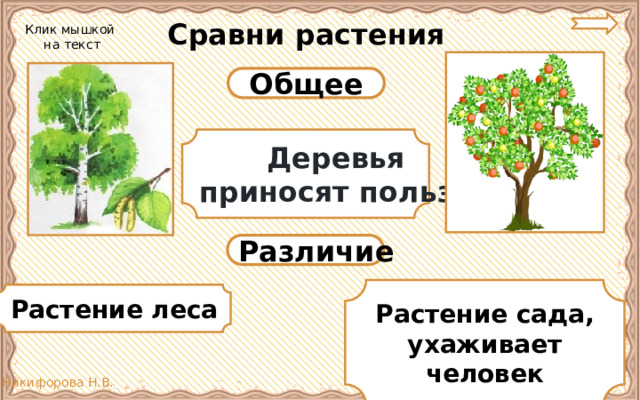 Сравни растения Клик мышкой  на текст Общее Деревья приносят пользу Различие Растение сада, ухаживает человек Растение леса