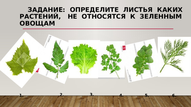 Задание: Определите листья каких растений, не относятся к зеленным овощам 3. 2. 1. 4. 5. 6.