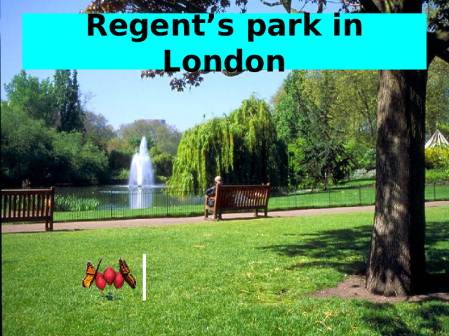 Regent’s park in London
