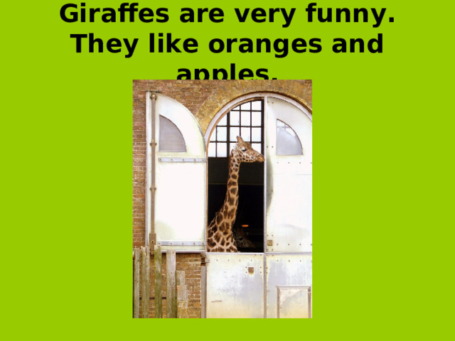 Giraffes are very funny. They like oranges and apples.