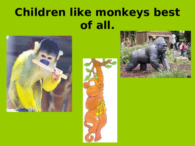 Children like monkeys best of all.