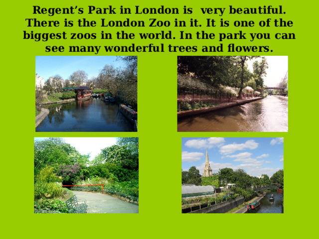 Regent’s Park in London is very beautiful. There is the London Zoo in it. It is one of the biggest zoos in the world. In the park you can see many wonderful trees and flowers.