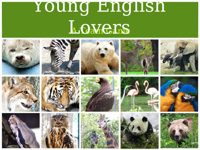Young English Lovers A Team Game