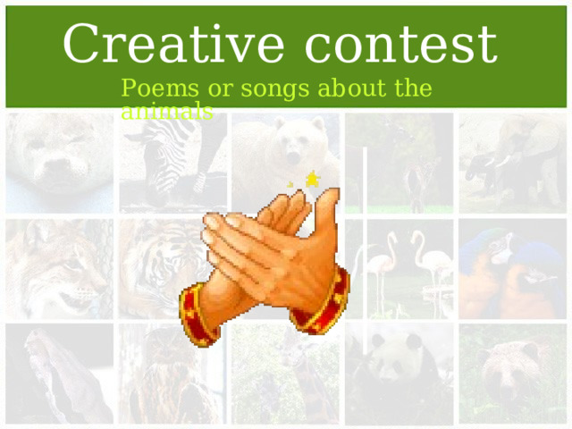 Creative contest Poems or songs about the animals