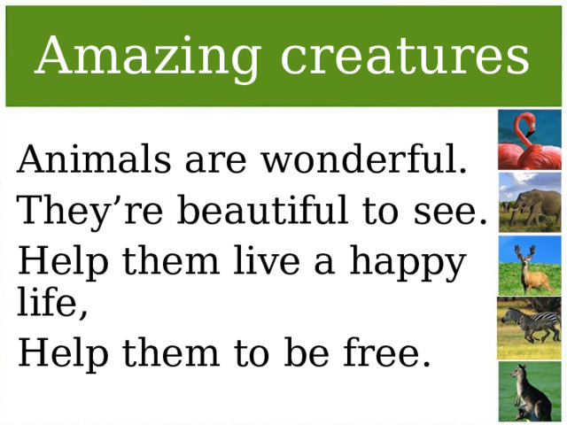 Amazing creatures Animals are wonderful. They’re beautiful to see. Help them live a happy life, Help them to be free.  