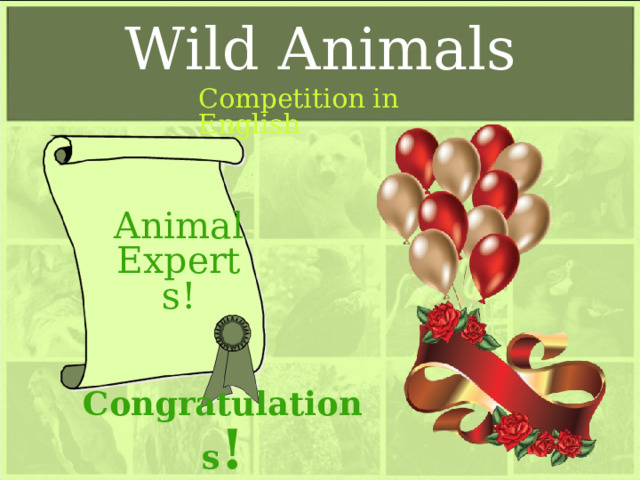 Wild Animals Competition in English Animal Experts! Congratulations !