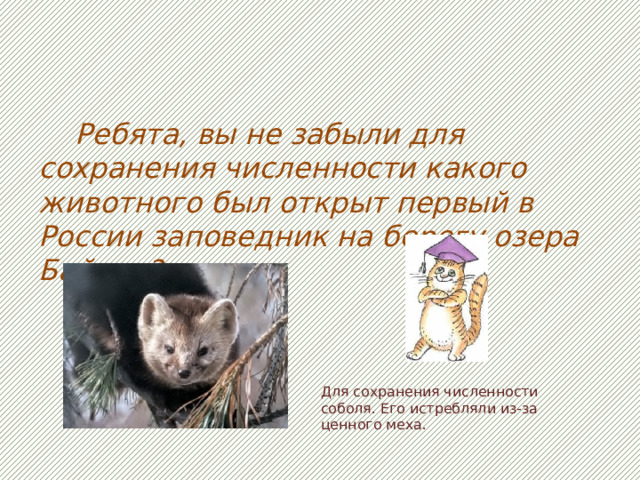 Ребята, вы не забыли для сохранения численности какого животного был открыт первый в России заповедник на берегу озера Байкал? Для сохранения численности соболя. Его истребляли из-за ценного меха.