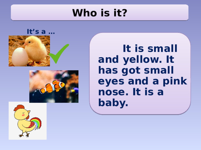 Who is it? It’s a …  It is small and yellow. It has got small eyes and a pink nose. It is a baby.
