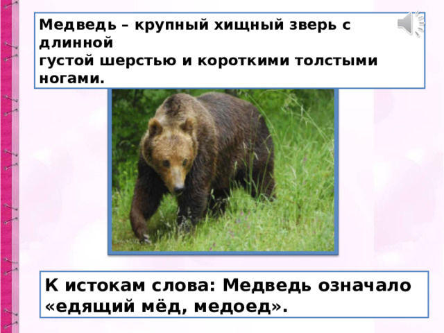 Медведь – крупный хищный зверь с длинной густой шерстью и короткими толстыми ногами. К истокам слова: Медведь означало «едящий мёд, медоед».