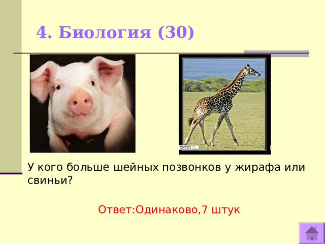 4. Биология (30)   У кого больше шейных позвонков у жирафа или свиньи? Ответ:Одинаково,7 штук