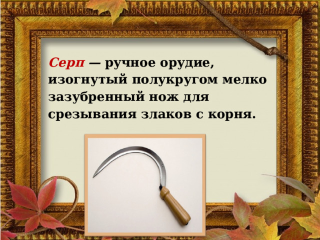 Серп — ручное орудие, изогнутый полукругом мелко зазубрен­ный нож для срезывания злаков с корня.