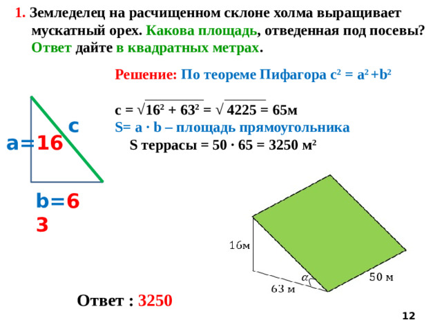 1. Земледелец на расчищенном склоне холма выращивает мускатный орех. Какова площадь , отведенная под посевы? Ответ дайте в квадратных метрах . Решение: По теореме Пифагора c 2 = a 2 +b 2  с = √16 2 +  63 2 = √ 4225 = 65м S= a ∙ b – площадь прямоугольника  S террасы = 50 · 65 = 3250 м 2      c а= 16 b= 63 Ответ : 3250