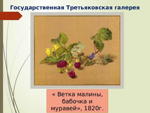 Государственная Третьяковская галерея  « Ветка малины, бабочка и муравей», 1820г.