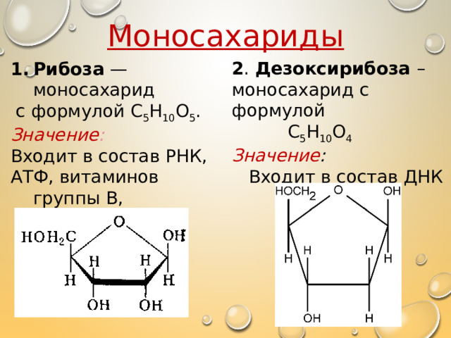 Моносахариды 2 . Дезоксирибоза  – моносахарид с формулой  С 5 Н 10 О 4 Значение :   Входит в состав ДНК Рибоза  — моносахарид  с формулой С 5 Н 10 О 5 . Значение : Входит в состав РНК, АТФ, витаминов группы В, ферментов