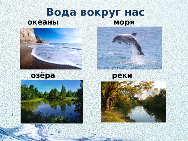 Вода вокруг нас океаны моря озёра реки