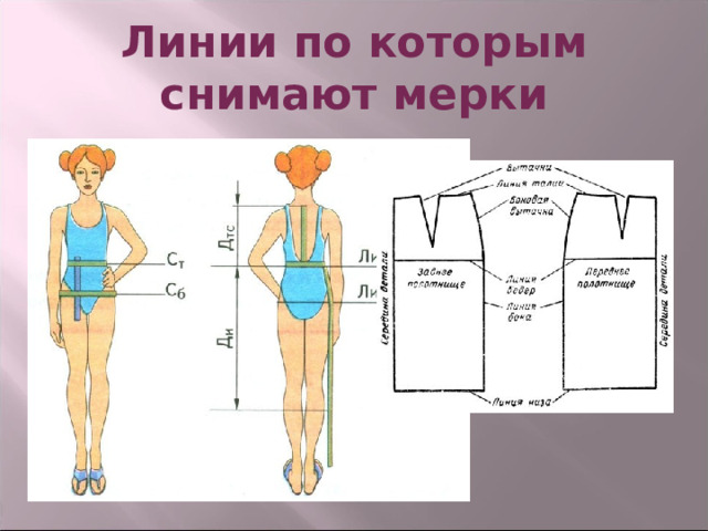 Линии по которым снимают мерки