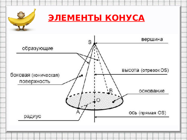 ЭЛЕМЕНТЫ КОНУСА