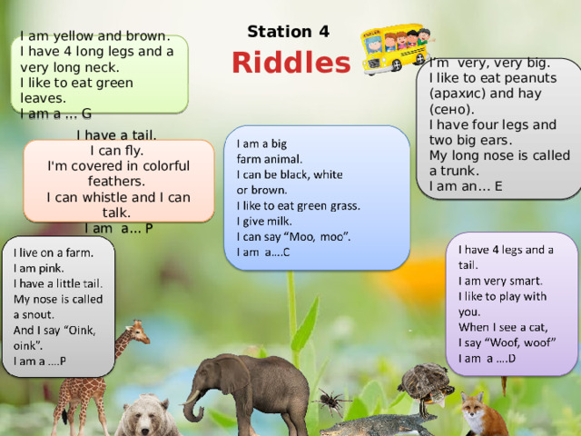 Station 4 I am yellow and brown. I have 4 long legs and a very long neck. I like to eat green leaves. I am a … G Riddles I’m very, very big. I like to eat peanuts (арахис) and hay (сено). I have four legs and two big ears. My long nose is called a trunk. I am an… E I have a tail.  I can fly.  I'm covered in colorful feathers.  I can whistle and I can talk.  I am a... P