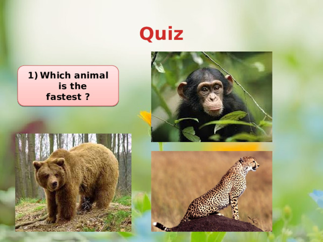 Quiz Station 2     Which animal is the fastest ?