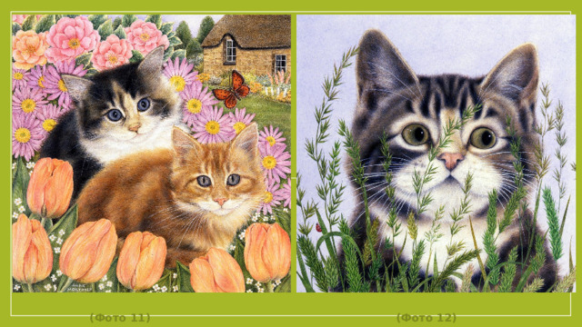 (Фото 11) (Фото 12)