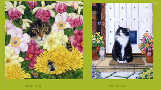 (Фото 13) (Фото 14)