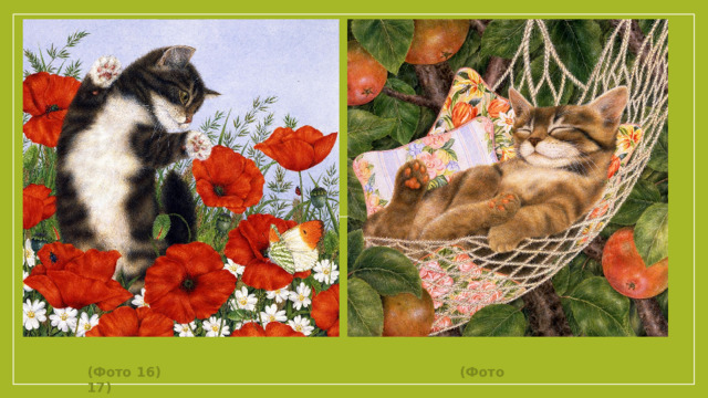 (Фото 16) (Фото 17)