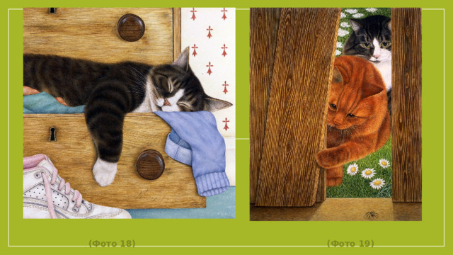 (Фото 18) (Фото 19)